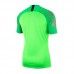                                                         Nike Gardien II GK SS T-shirt 398