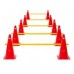 Cone Hurdles Set of 5 Height 38 cm Red